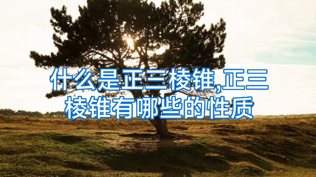什么是正三棱锥,正三棱锥有哪些的性质