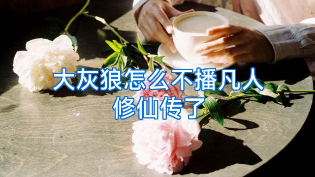大灰狼怎么不播凡人修仙传了
