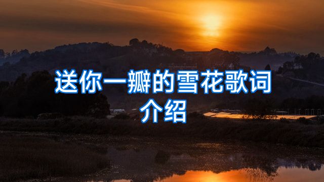 送你一瓣的雪花歌词介绍