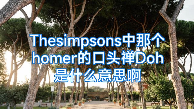 Thesimpsons中那个homer的口头禅Doh是什么意思啊