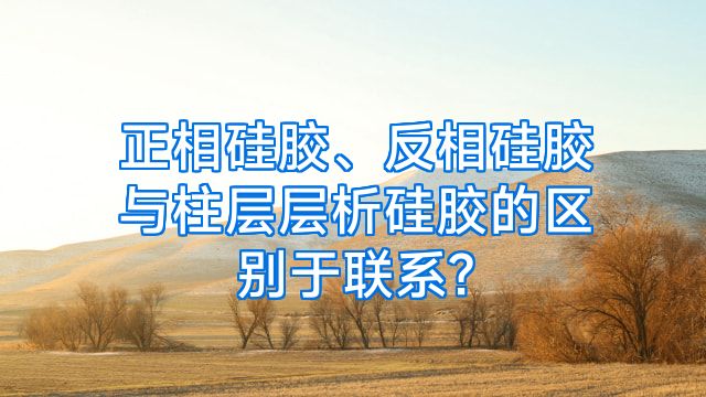 正相硅胶、反相硅胶与柱层层析硅胶的区别于联系?