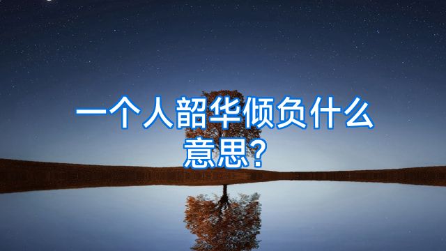 一个人韶华倾负什么意思?