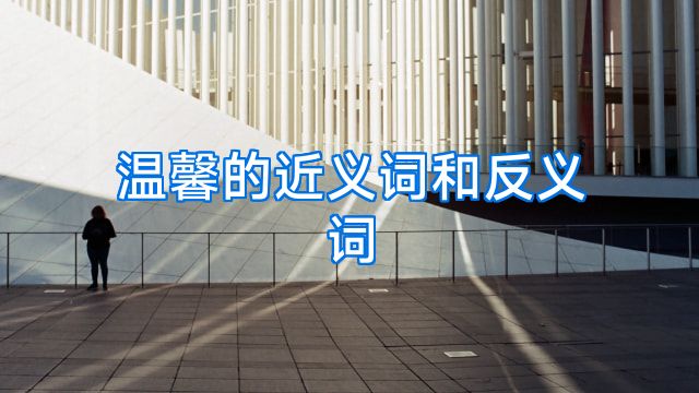 温馨的近义词和反义词