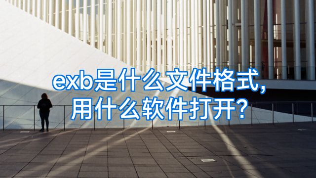 exb是什么文件格式,用什么软件打开?