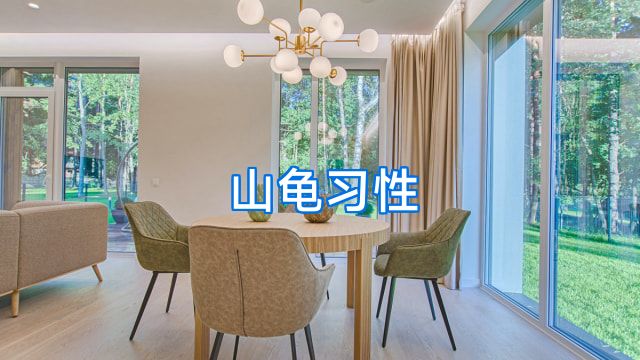 山龟习性