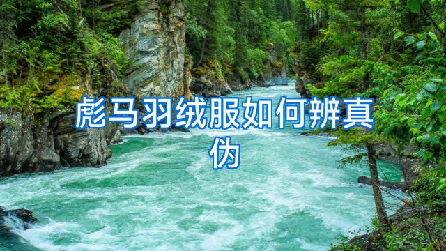 彪马羽绒服如何辨真伪
