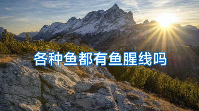 各种鱼都有鱼腥线吗