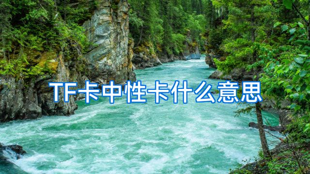 TF卡中性卡什么意思