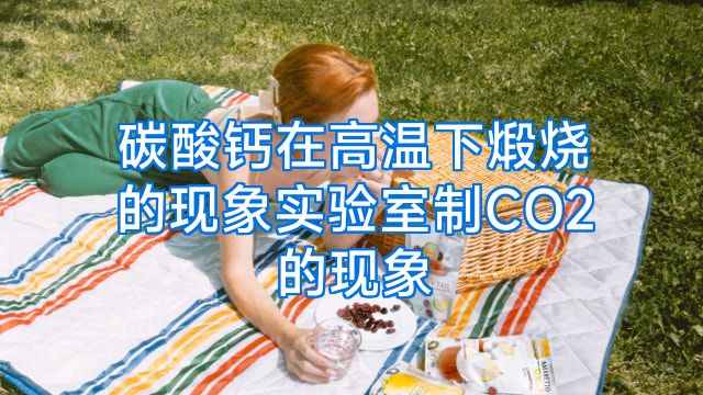 碳酸钙在高温下煅烧的现象实验室制CO2的现象