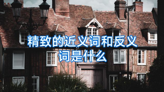精致的近义词和反义词是什么