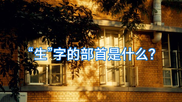 “生”字的部首是什么?