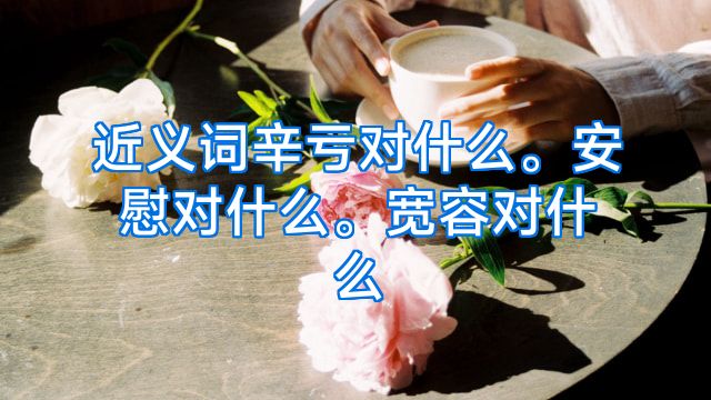 近义词辛亏对什么。安慰对什么。宽容对什么