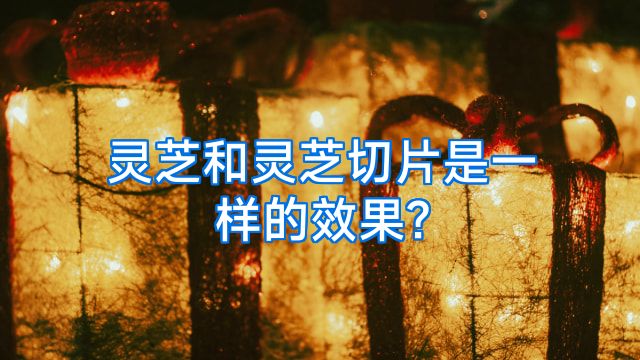 灵芝和灵芝切片是一样的效果?