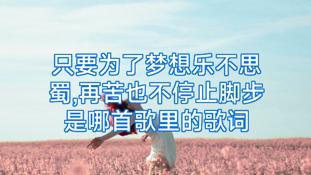 只要为了梦想乐不思蜀,再苦也不停止脚步是哪首歌里的歌词