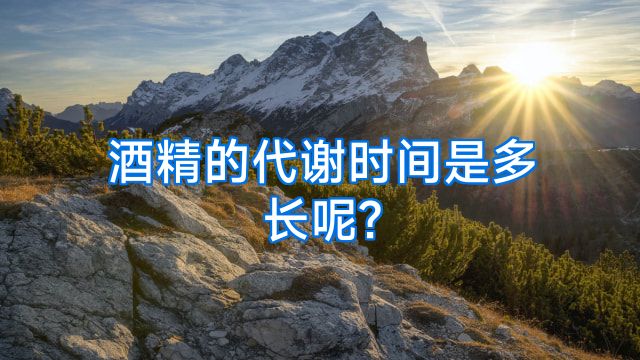 酒精的代谢时间是多长呢?