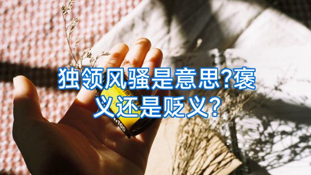 独领风骚是意思?褒义还是贬义?