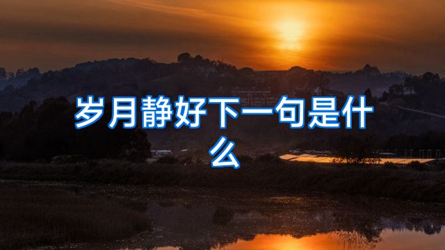 岁月静好下一句是什么