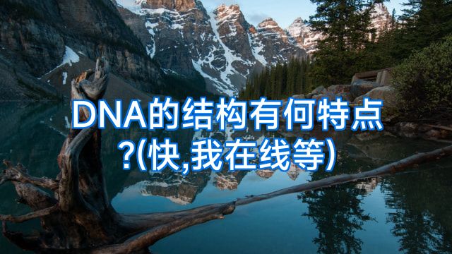 DNA的结构有何特点?(快,我在线等)
