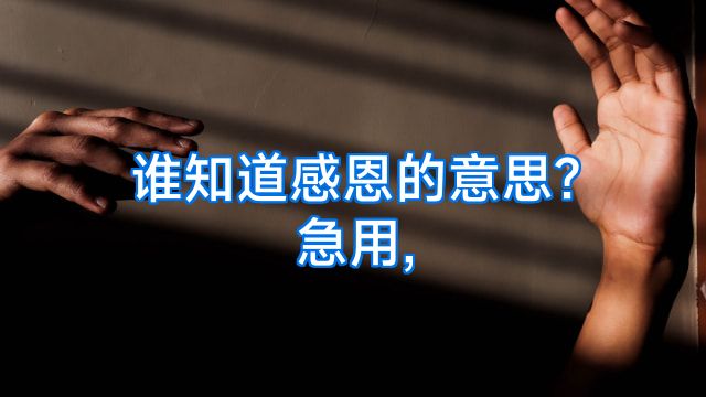 谁知道感恩的意思?急用,