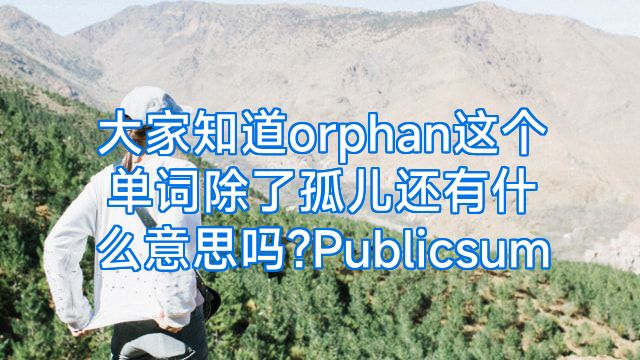 大家知道orphan这个单词除了孤儿还有什么意思吗?Publicsum