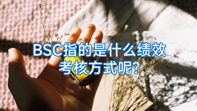 BSC指的是什么绩效考核方式呢?