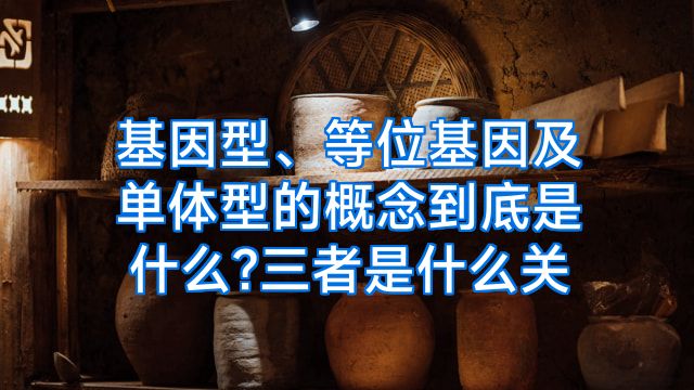 基因型、等位基因及单体型的概念到底是什么?三者是什么关