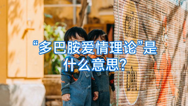 “多巴胺爱情理论”是什么意思?
