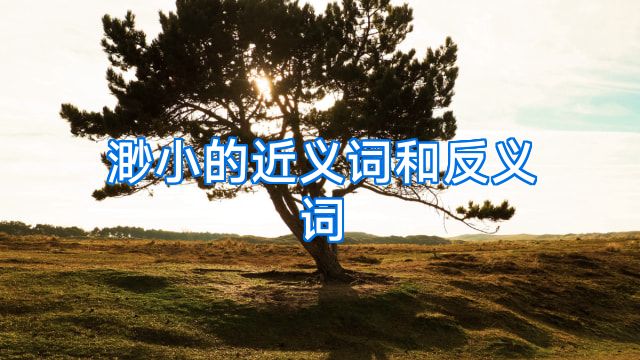 渺小的近义词和反义词