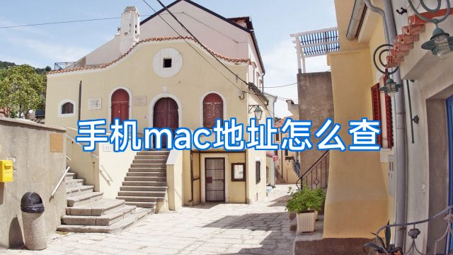 手机mac地址怎么查