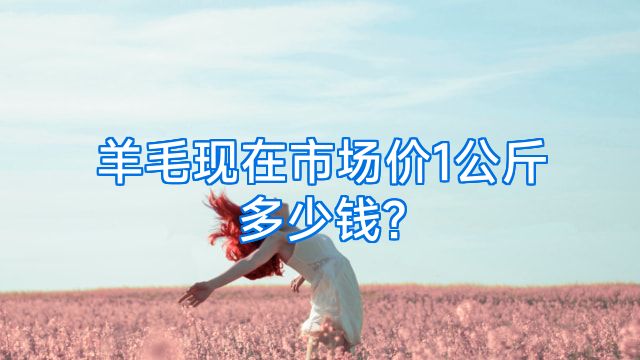 羊毛现在市场价1公斤多少钱?