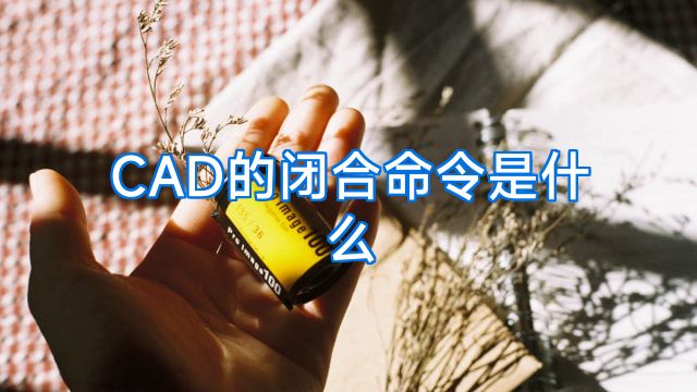 CAD的闭合命令是什么