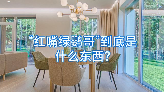 “红嘴绿鹦哥”到底是什么东西?