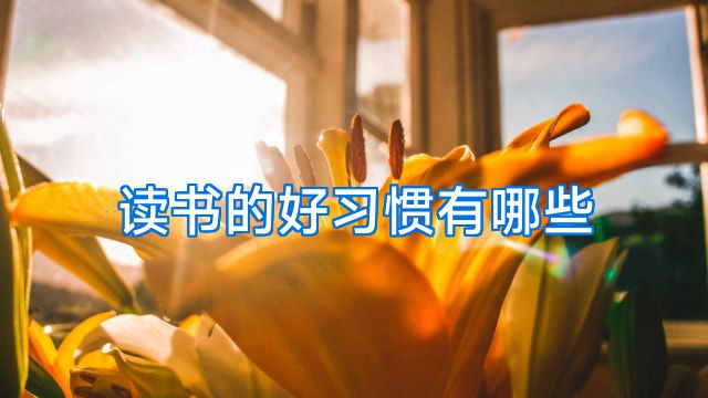 读书的好习惯有哪些