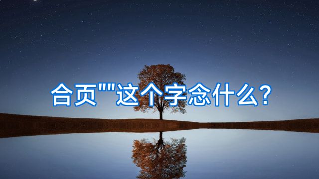 合页