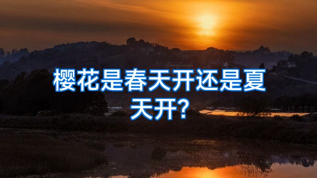 樱花是春天开还是夏天开?