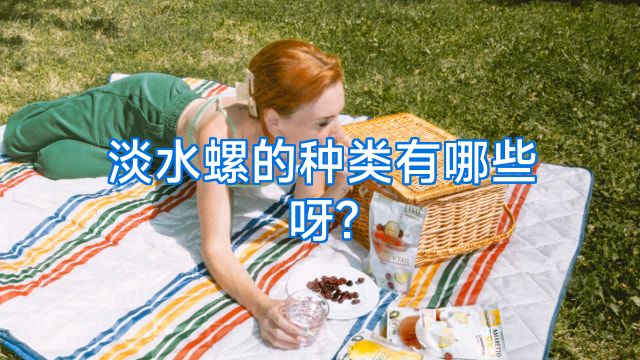 淡水螺的种类有哪些呀?