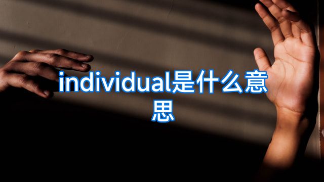 individual是什么意思