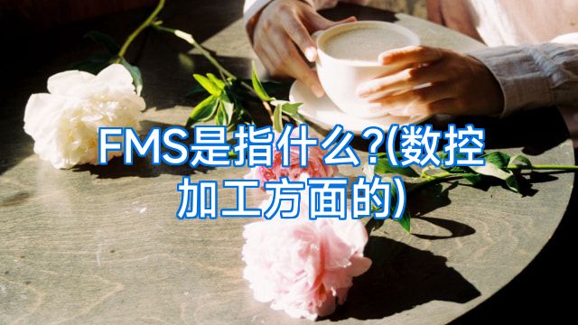 FMS是指什么?(数控加工方面的)