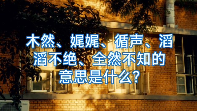 木然、娓娓、循声、滔滔不绝、全然不知的意思是什么?