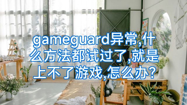 gameguard异常,什么方法都试过了,就是上不了游戏,怎么办?