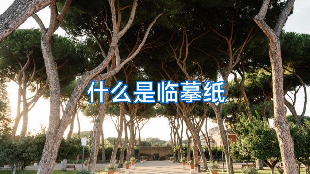 什么是临摹纸