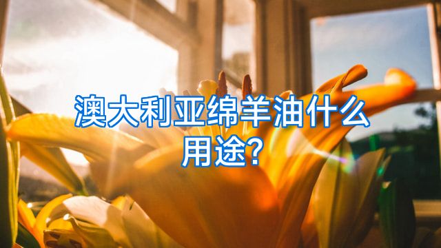 澳大利亚绵羊油什么用途?