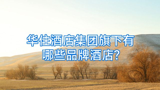 华住酒店集团旗下有哪些品牌酒店?