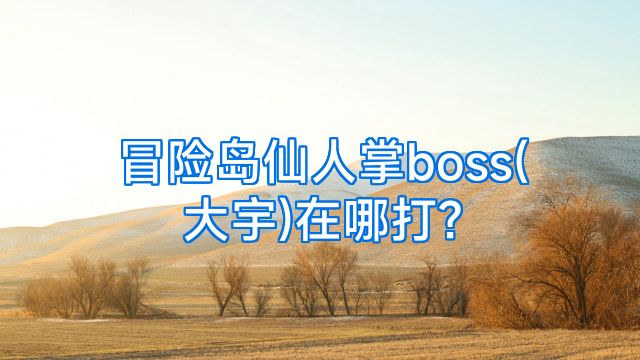 冒险岛仙人掌boss(大宇)在哪打?