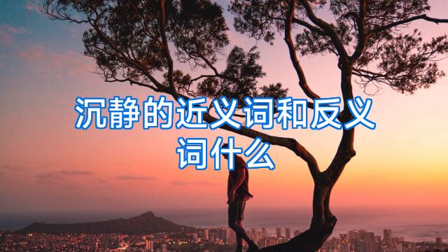 沉静的近义词和反义词什么