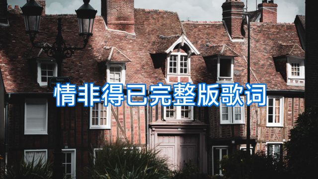 情非得已完整版歌词