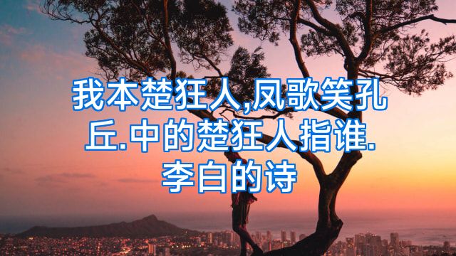 我本楚狂人,凤歌笑孔丘.中的楚狂人指谁.李白的诗