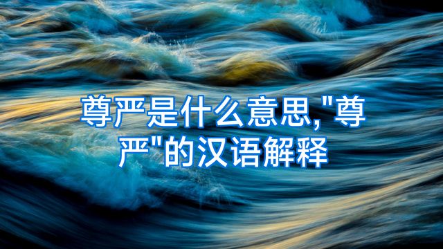 尊严是什么意思,