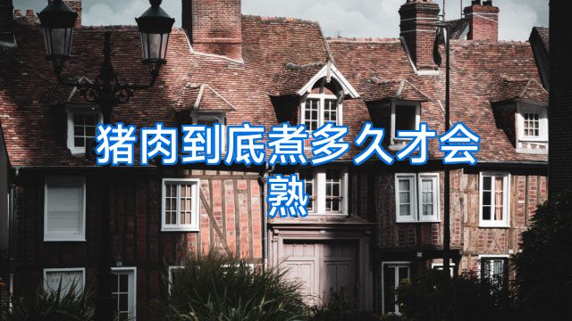 猪肉到底煮多久才会熟