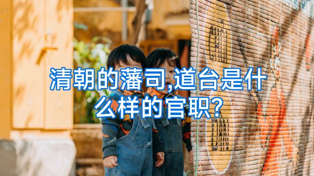 清朝的藩司,道台是什么样的官职?